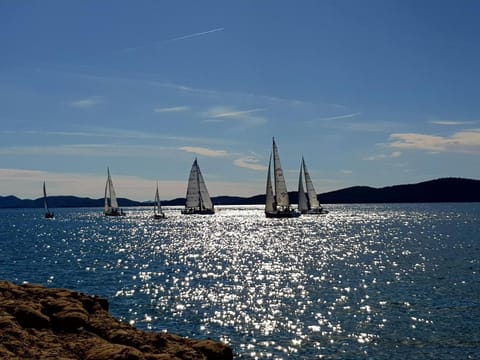 Neighbourhood, Natural landscape, Beach