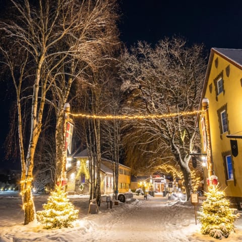 Property building, Night, Winter