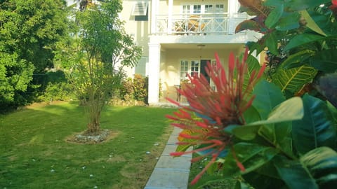 Patio, Garden, Swimming pool, Swimming pool