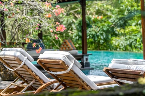 Natural landscape, Swimming pool, sunbed