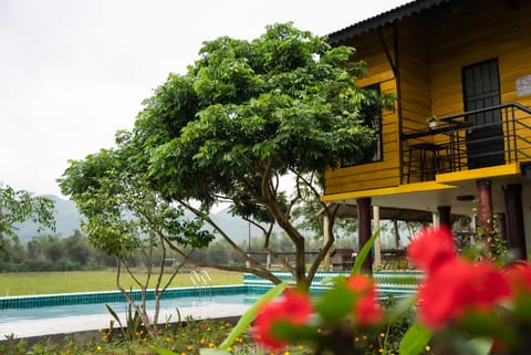 Property building, Swimming pool