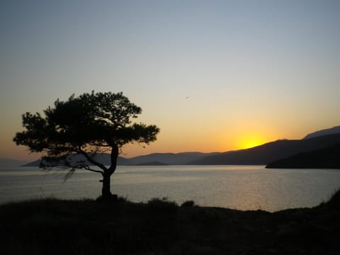 Nearby landmark, Natural landscape
