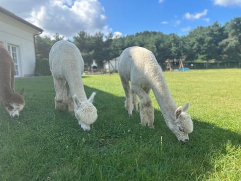 Apartamenty Góra Apartment in Pomeranian Voivodeship