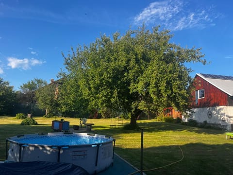 Garden, Swimming pool