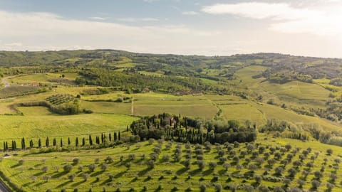 Podere Fignano, holiday home - apartments renovated 2024 - new swimming pool Country House in Tuscany