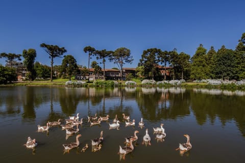 Facade/entrance, Lake view