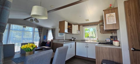 RJ Luxury Caravan Hire With Hot Tub House in Tattershall