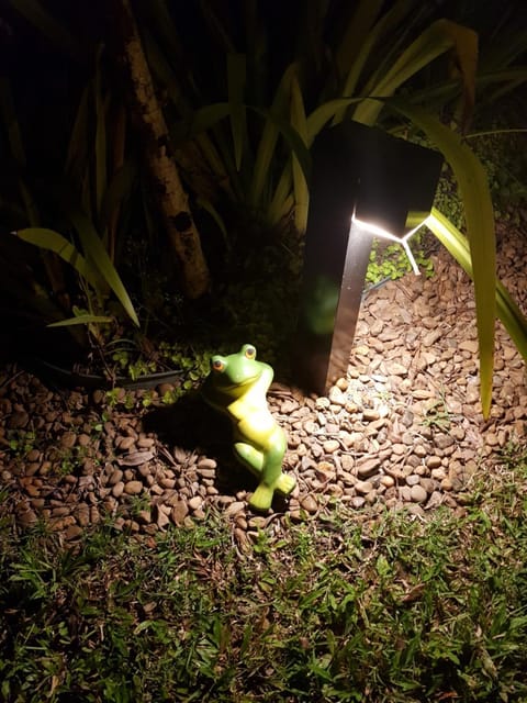 Night, On site