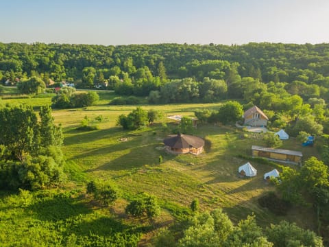 Natural landscape, Bird's eye view, Garden view