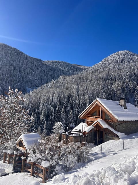 Chez Fred et Carine (Petit-déjeuner bio inclus) Bed and Breakfast in Saint-Étienne-de-Tinée