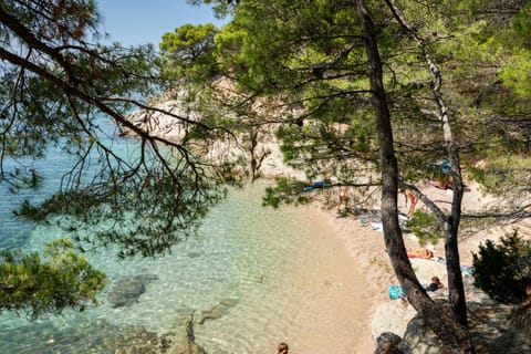 Natural landscape, Beach, Sea view
