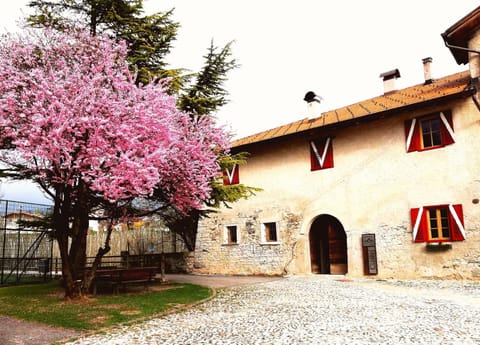 Agritur Ciastel Farm Stay in Trentino-South Tyrol