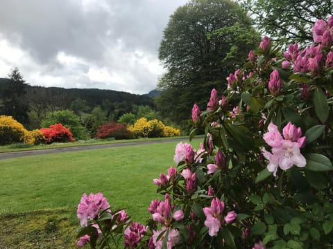 Woodside Logcabin Ardoch Lodge Cabin in Strathyre