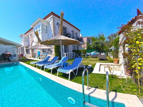 Property building, Garden, Swimming pool, Swimming pool