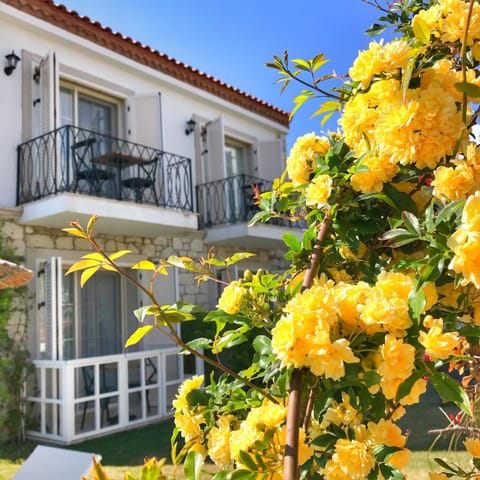Property building, Balcony/Terrace