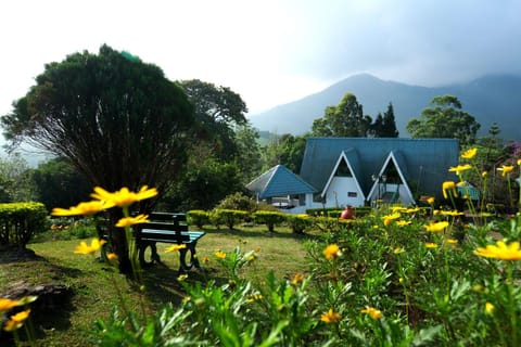 Property building, Garden view