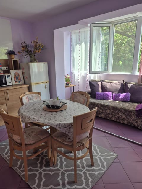 Kitchen or kitchenette, Kitchen or kitchenette, Living room, Seating area, Dining area, minibar, pet friendly