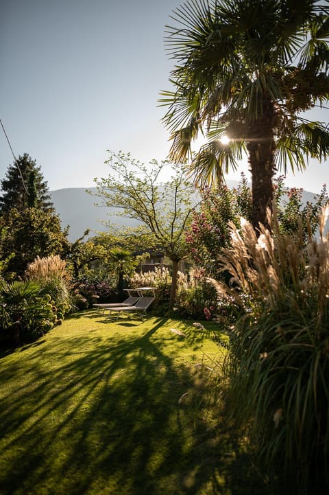 Day, Natural landscape, Garden, Garden view, Mountain view