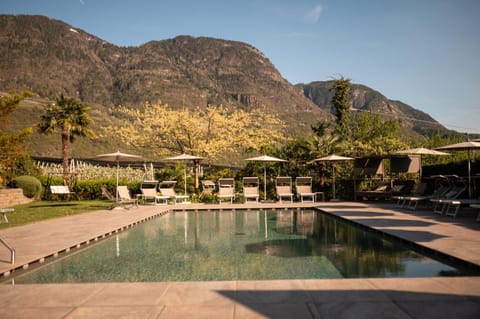 Natural landscape, Swimming pool, sunbed