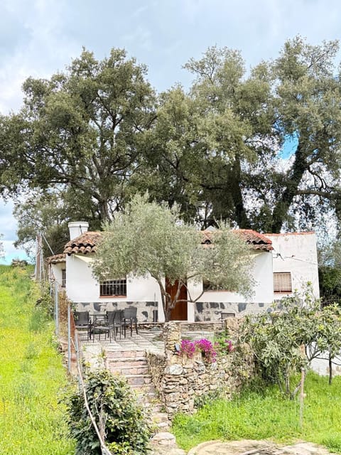 Property building, Garden view