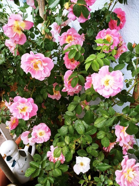 Naturkräuterhaus Eder Apartment in Carinthia, Austria