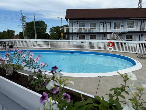 Day, Swimming pool