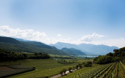Apartments Windegg Apartment in Kaltern an der Weinstraße