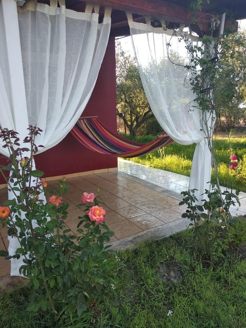 Olive garden guest house Nature lodge in Messenia