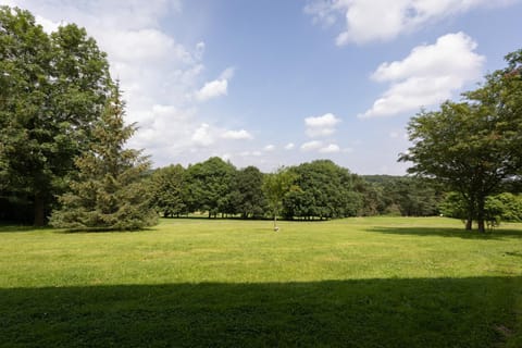 View (from property/room), View (from property/room)