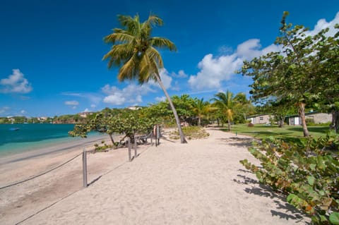 Garden, Beach, Sea view
