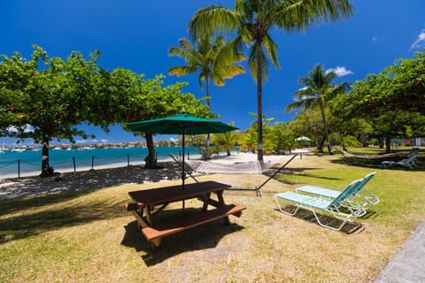 Garden, Beach