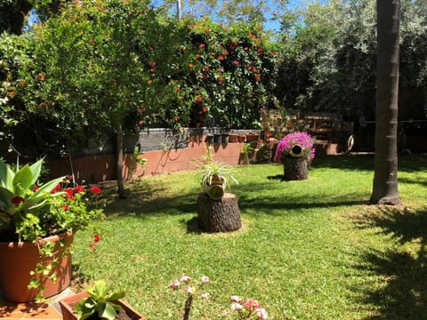 Garden view