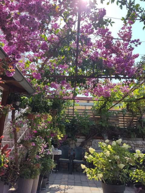 Dalmati house Bed and Breakfast in Šibenik