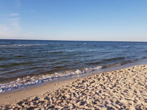 Apartament Emilia Apartment in Pomeranian Voivodeship