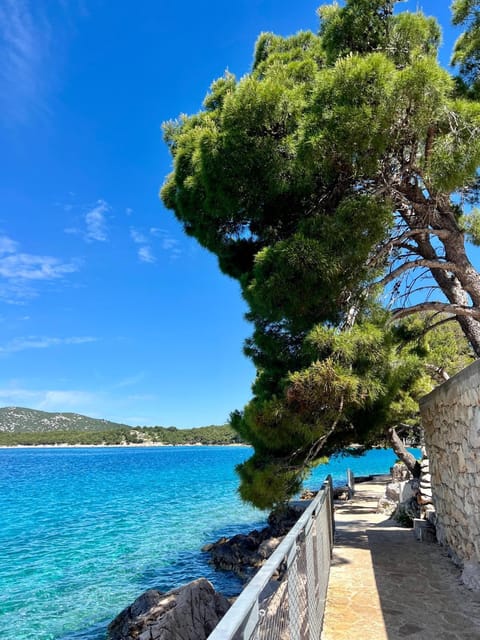 villa White Apartment in Šibenik-Knin County, Croatia