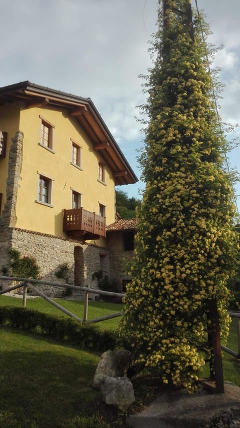 Property building, Garden