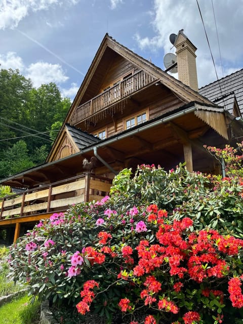 Spring, Garden, Garden view