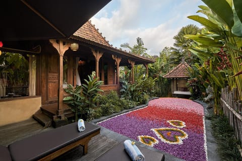 Patio, Patio, Swimming pool