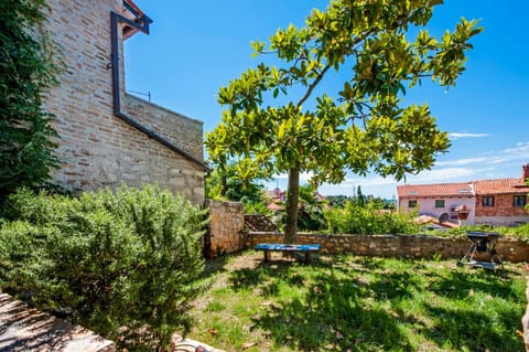 Spring, Day, Garden, Garden view