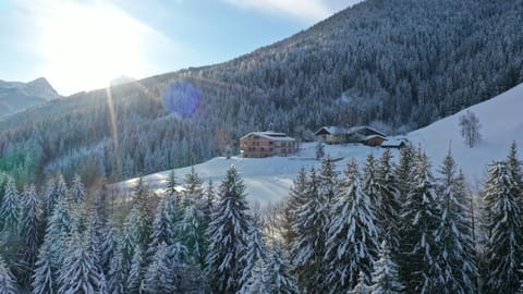 Winter, Mountain view