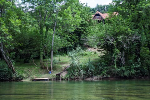 Fishing, Beach, Canoeing, River view