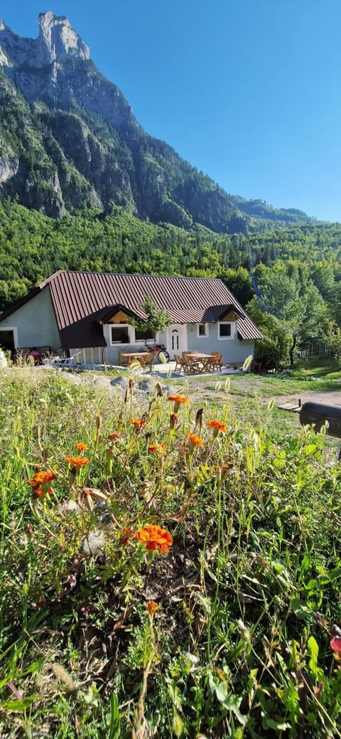 Property building, Day, Natural landscape, Mountain view