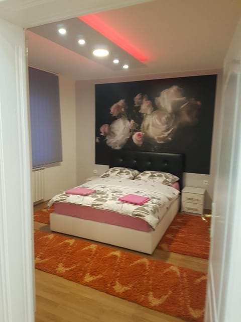 Apartman Aleksandar, BN centar Apartment in Vojvodina