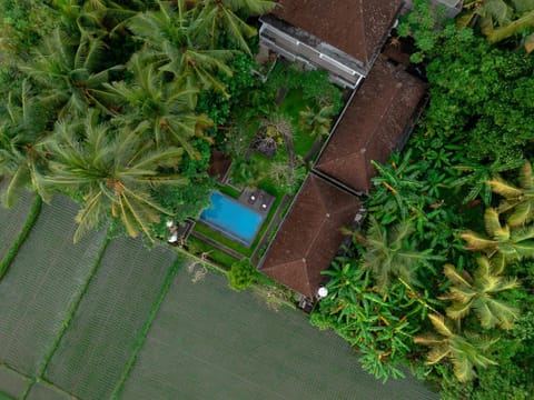 Natural landscape, Bird's eye view, Garden view, Pool view, Swimming pool