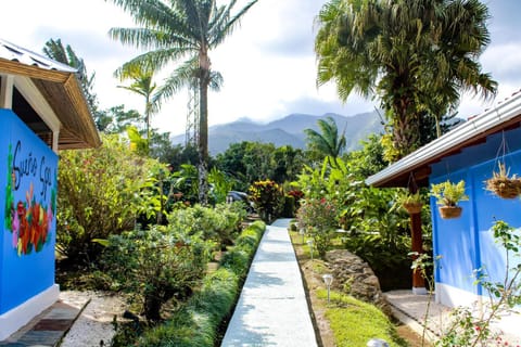 Property building, Natural landscape, Garden, Mountain view