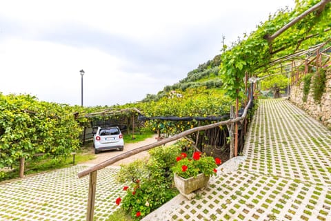 Spring, Day, Garden, Parking