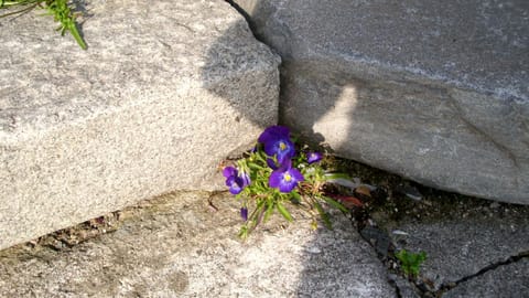 Kyläsepän Maja House in Finland