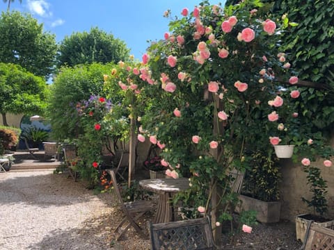 Garden, Garden, Garden view, Garden view