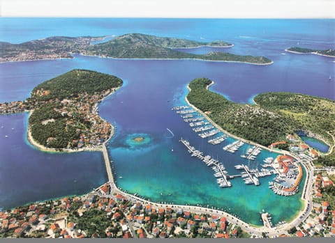 Day, Bird's eye view