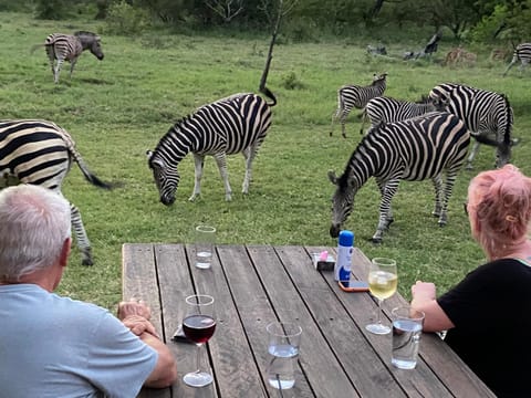 Restaurant/places to eat, People, Food and drinks, Other, Animals, Garden view